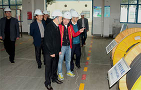 2015年11月22日，，，，，，，，郎溪县党政代表团一行来mg冰球突破电缆旅行考察