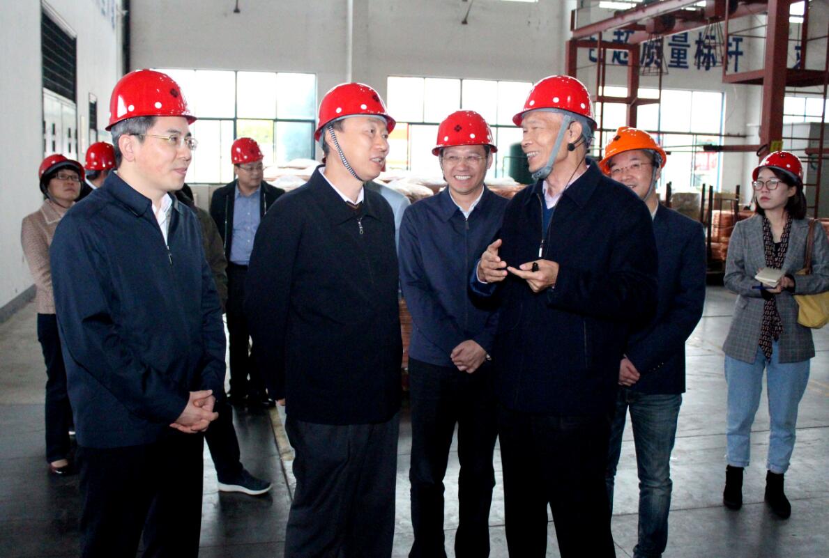 江苏省副省长马秋林一行来mg冰球突破电缆调研