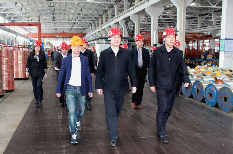 南京市六合区党政代表团来mg冰球突破电缆旅行考察