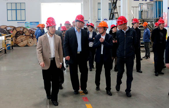 常州市副市长李小平一行来mg冰球突破电缆考察