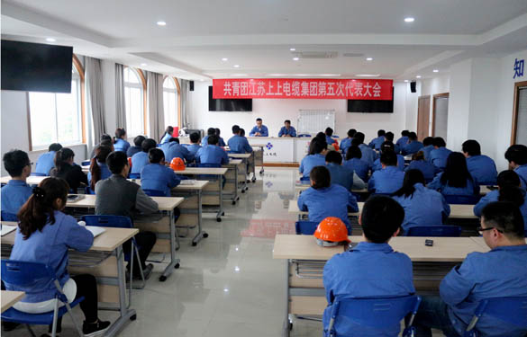 2016年4月20日，，，，共青团mg冰球突破第五次代表大会召开