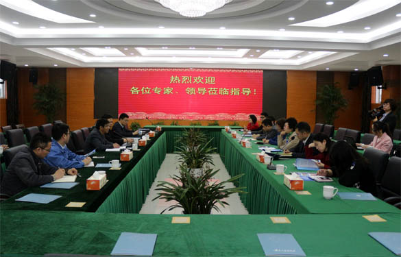 2016年4月6日，，，，，，，，“新型智库看溧阳”专家组来mg冰球突破电缆调研