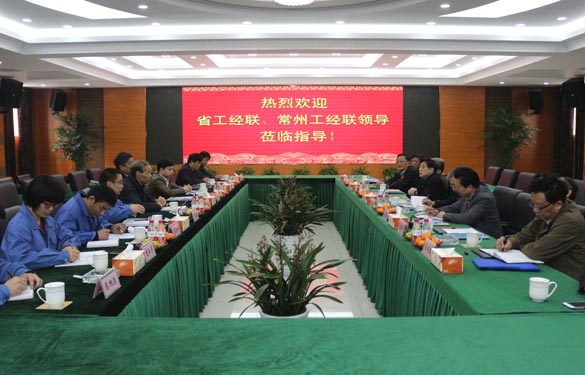 省工经联、常州市工经联向导来mg冰球突破电缆调研