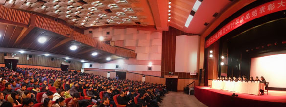 mg冰球突破电缆盛大召开2015年度总结表扬大会