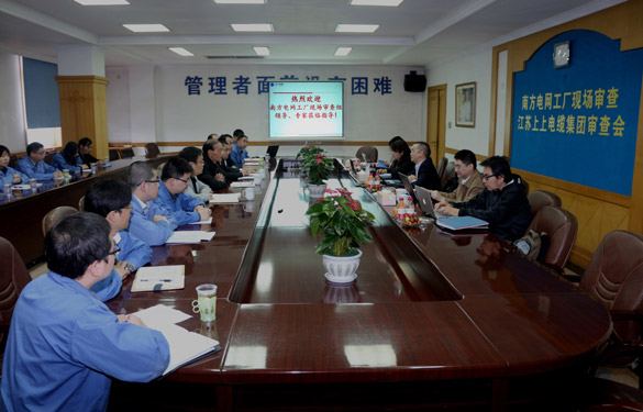 mg冰球突破电缆顺遂通过南方电网公司工厂现场审查