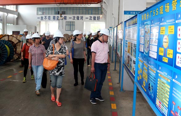 江苏大学与泰州市企业治理专家来mg冰球突破电缆观摩