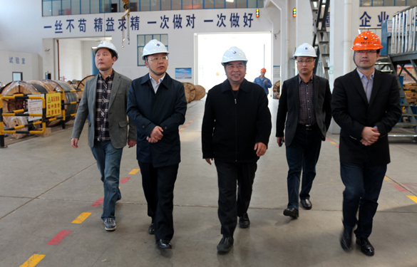 2015年3月26日，，，，，，，，江苏省射阳县向导一行来mg冰球突破电缆视察
