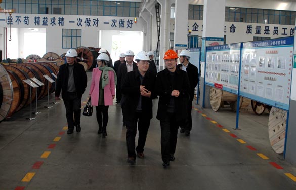 2015年3月13日，，，，，，，，金坛市经信局向导一行来mg冰球突破电缆考察