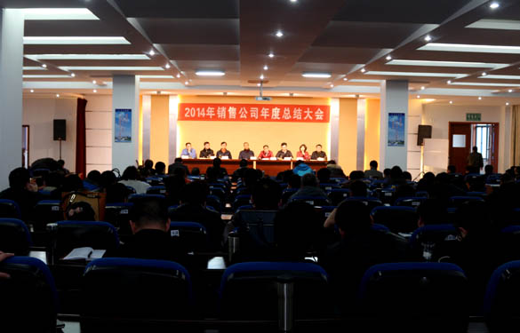 mg冰球突破电缆召开2014年销售公司年度总结大会