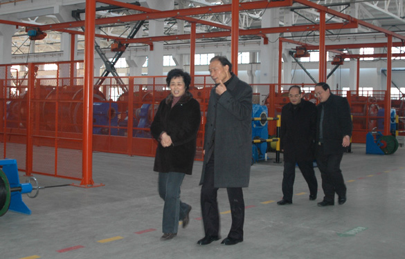 江苏省经信委副主任顾瑜芳一行来mg冰球突破调研