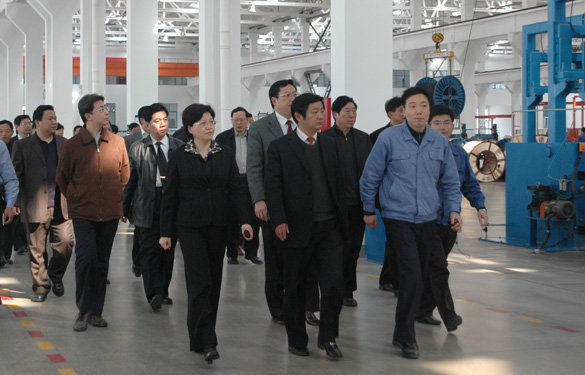 安徽省天长市党政代表团百余人来mg冰球突破集团旅行考察