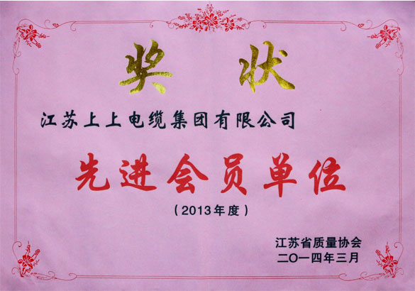 mg冰球突破集团荣获江苏省质量协会2013年度“先进会员单位”称呼