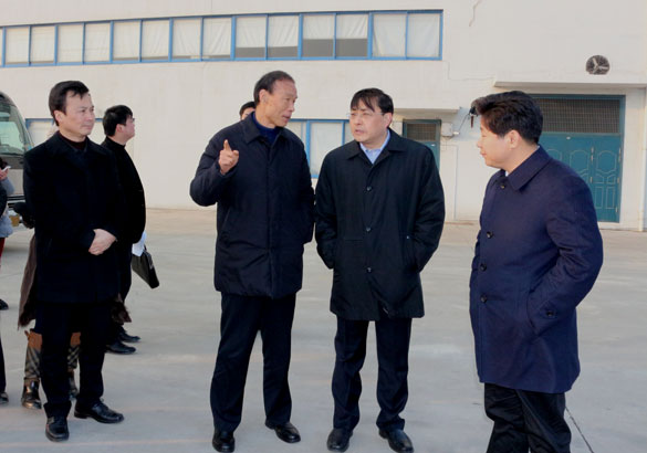 常州市市长费高云一行来mg冰球突破督查新开工项目