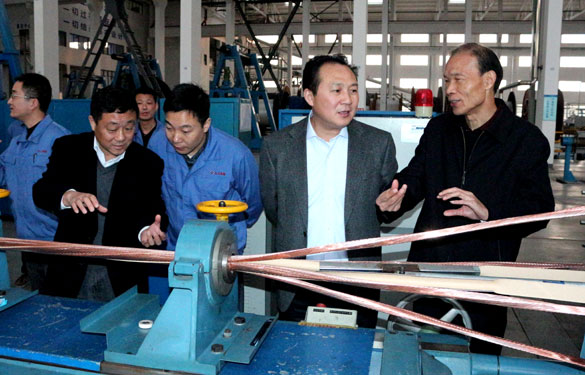 溧阳市供电公司总司理徐国平一行来mg冰球突破集团考察