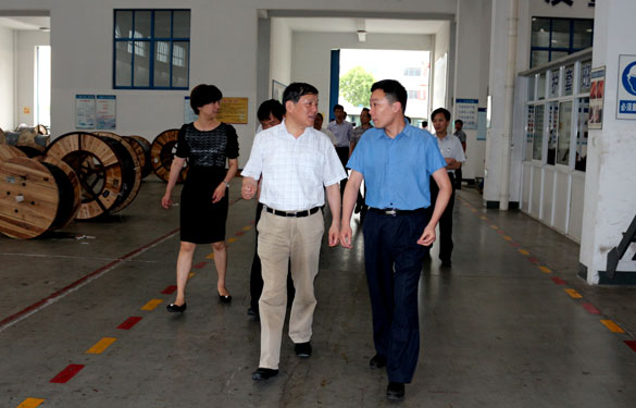 常州市人大向导一行来mg冰球突破集团调研