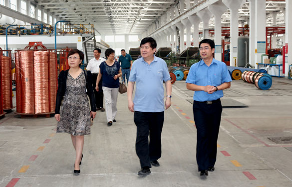 常州市新北区人大向导一行来mg冰球突破集团调研