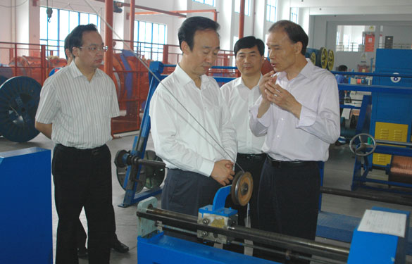 常州市委书记范燕青一行来mg冰球突破视察