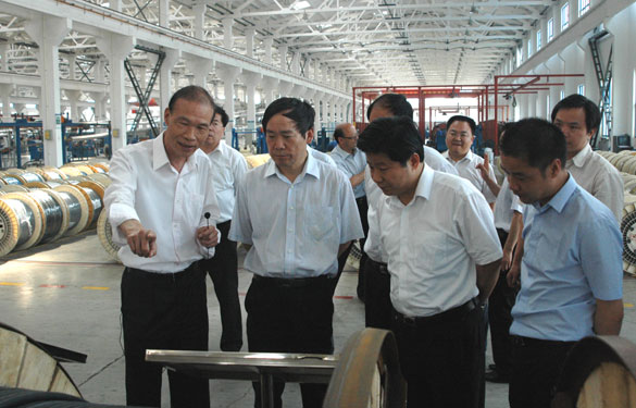 江苏省省长助理、省科技厅厅长徐南平来mg冰球突破集团调研