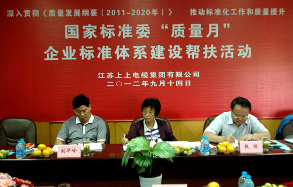 国标委“质量月”专家组到mg冰球突破检查指导事情