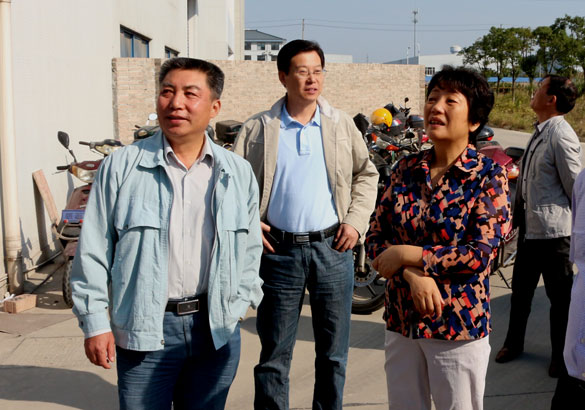 10月14日，，，，，，，溧阳市向导来mg冰球突破电缆调研