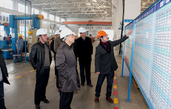 12月25日，，，，，，，广德县政府考察团来mg冰球突破考察