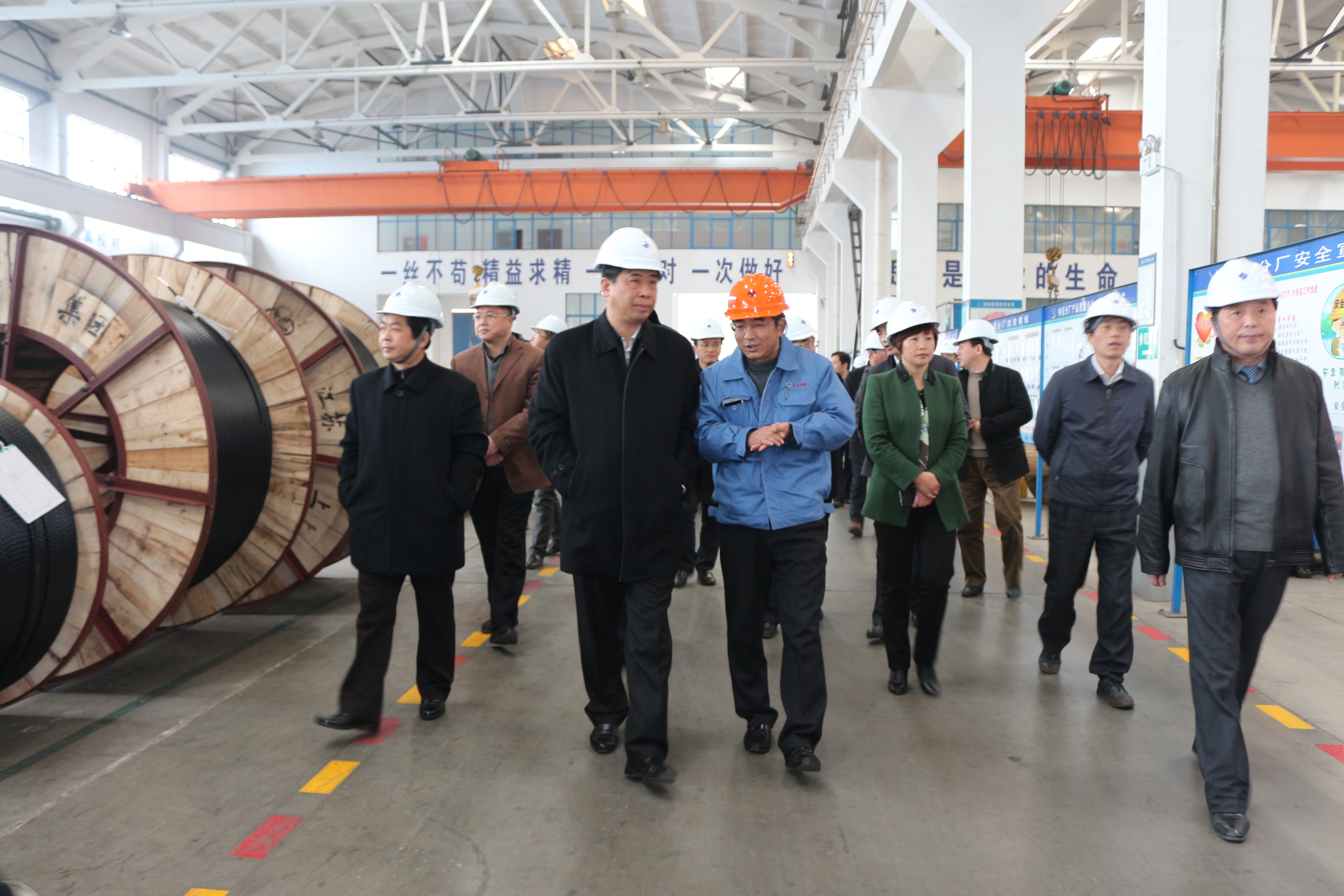 2015年3月11日，，，，，，，安徽省和县党政代表团一行来mg冰球突破电缆考察