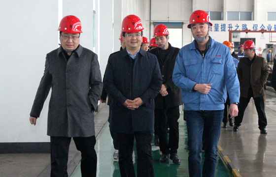 2020年12月8日，，，，，广德市市委常委、常务副市长邱铁军一行来mg冰球突破电缆考察