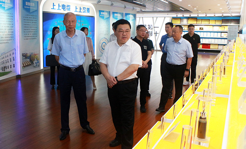 常州中院曹忠明院长一行来mg冰球突破电缆走访