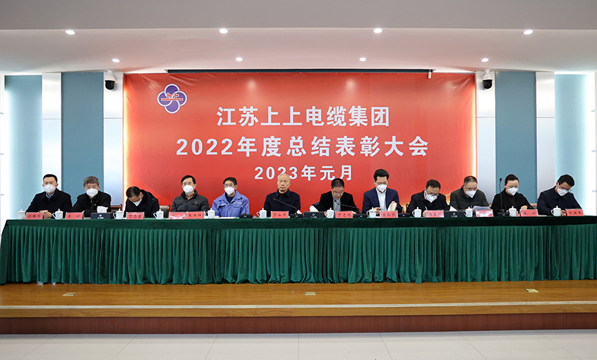 mg冰球突破电缆盛大召开2022年度总结表扬大会