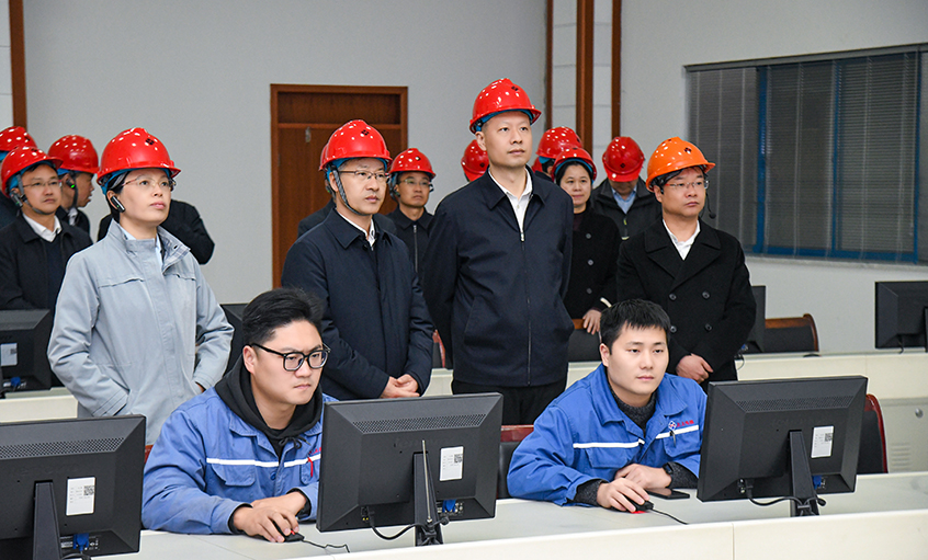 溧水区党政代表团来mg冰球突破电缆考察