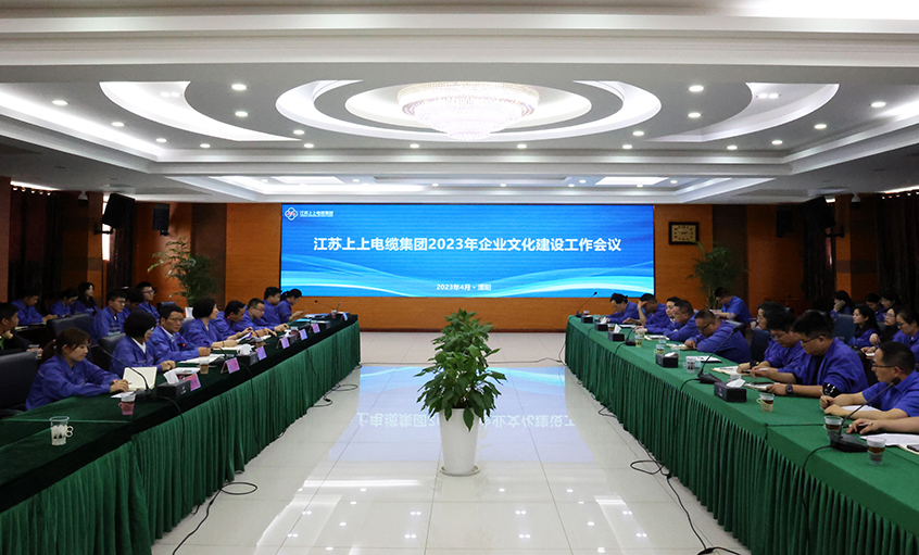 mg冰球突破电缆召开2023年企业文化建设事情聚会