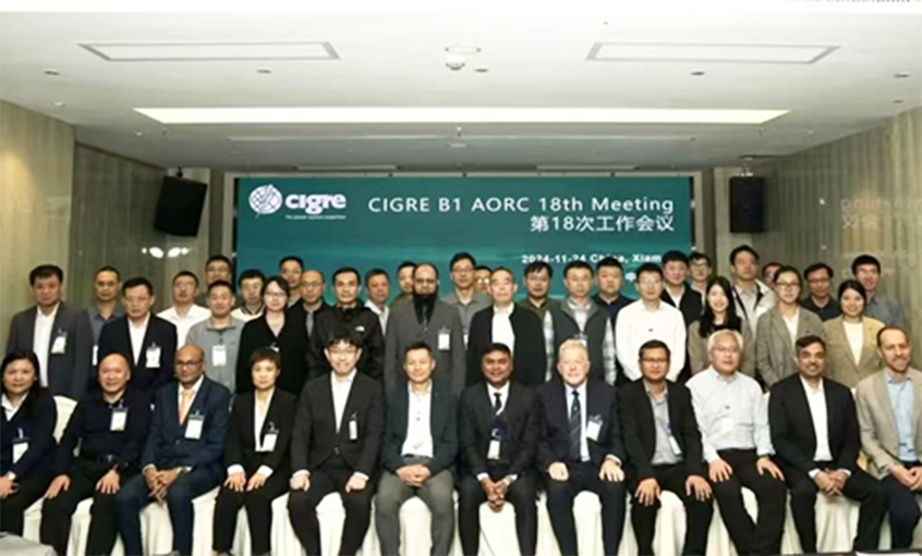 mg冰球突破电缆受邀出席CIGRE绝缘电缆专委会亚太区第18次年会并做专题讲话