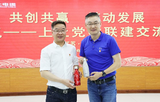 mg冰球突破电缆和上汽集团立异研发总院开展党建联建交流会