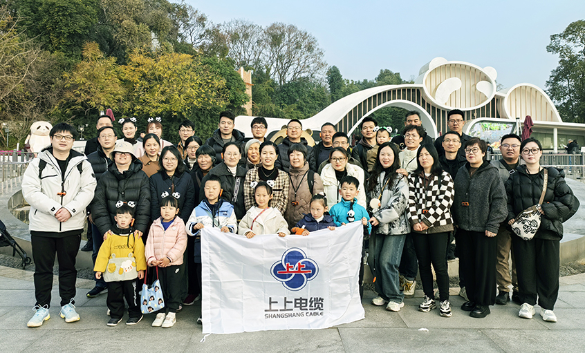 以文化润心 用眷注聚力——mg冰球突破2024年度先进员工蜀韵文化之旅圆满收官