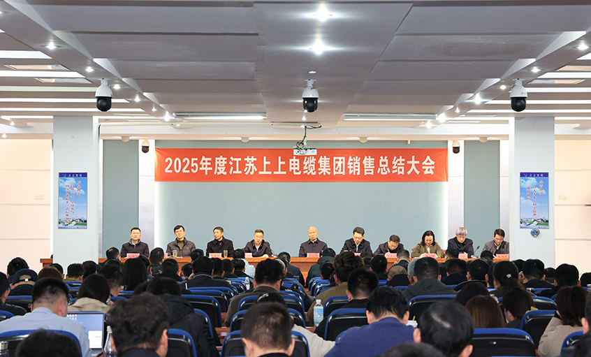 凝心聚力启新程，，，，，奋楫扬帆再出发——mg冰球突破电缆召开2025年度销售总结大会